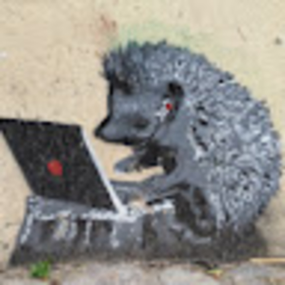 Meet your Posher, Monika